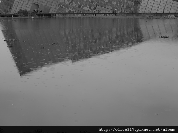 雨滴與倒影