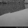 雨滴與倒影
