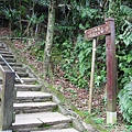 IMG_9137.JPG