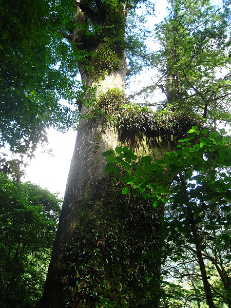 IMG_4988.JPG