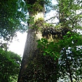 IMG_4988.JPG