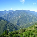 IMG_4960.JPG