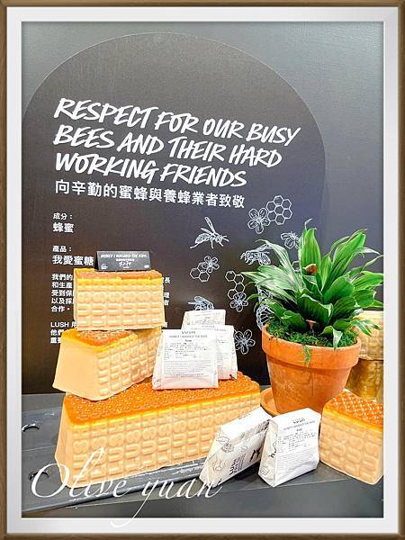 【观玲老师爱保养】LUSH铁粉我，直冲台中LaLaport逛