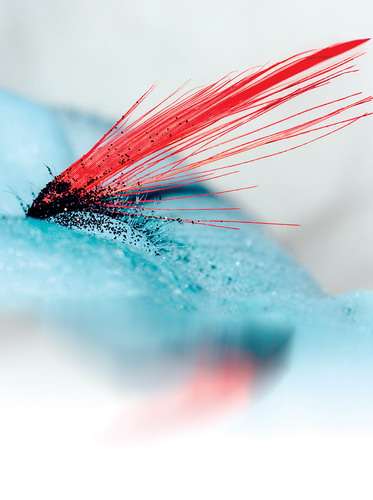 睫然不同 新魅睫-LOOK 4.jpg