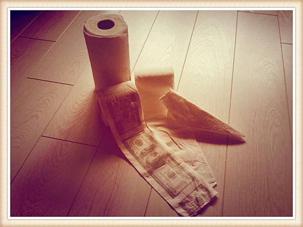 loo roll loo roll