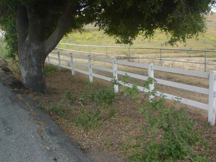 Sunol011.JPG