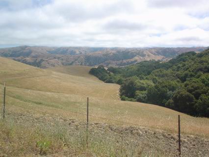 Sunol015.JPG