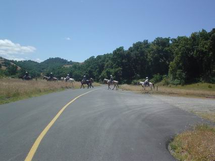 Sunol021.JPG