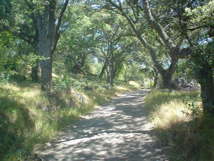 Sunol026.JPG