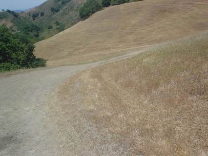 Sunol038.JPG