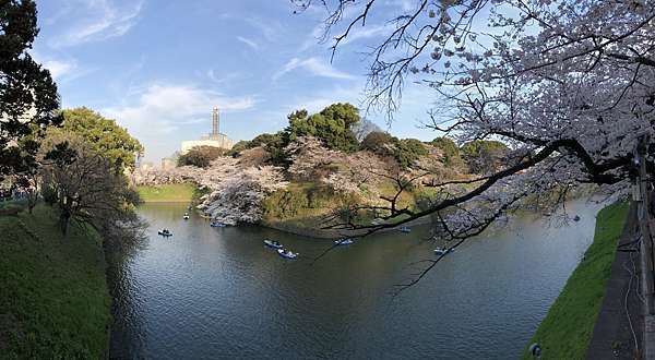 18 東京賞櫻之夢幻千鳥淵 是有多浪漫 慢條斯理的風 痞客邦