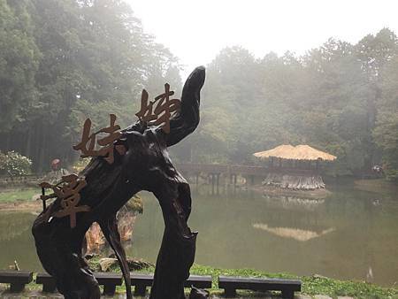 1100425-4阿里山森林遊樂區 (10)姊妹潭.JPG