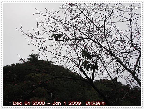 2009 清境跨年2008 12 31,16 36 02.jpg