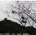 2009 清境跨年2008 12 31,16 36 02.jpg