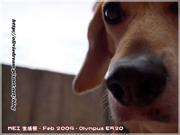 寶貝妹妹 生活日記2009 02 08,10 46 17.JPG