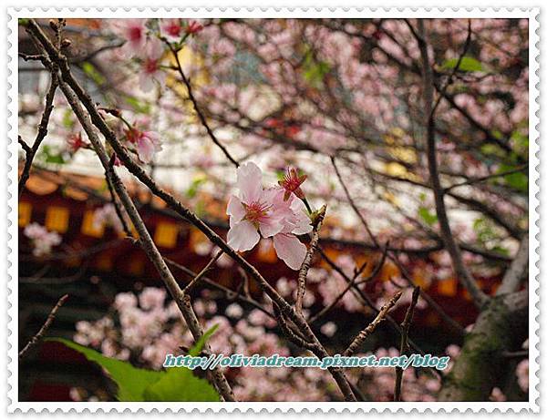 瘋狂三芝一日遊  2009 03 14_042.JPG