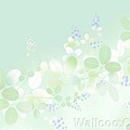 Flower_Pattern_Background_WA03_005Lb.jpg