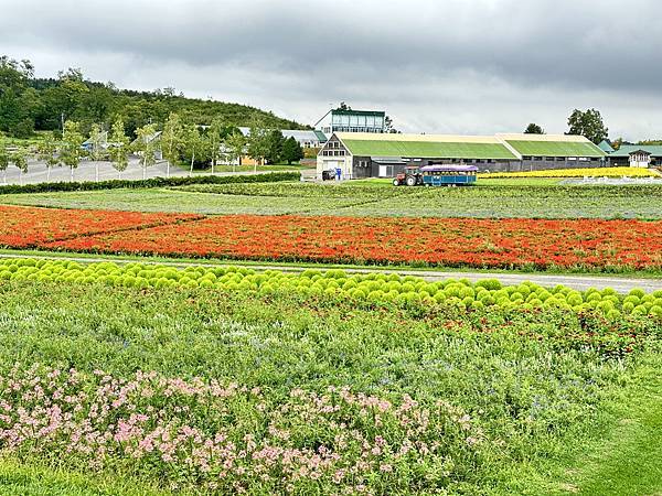 2023北海道夏日遊 Day5 - 富田花園農場\札幌啤酒博