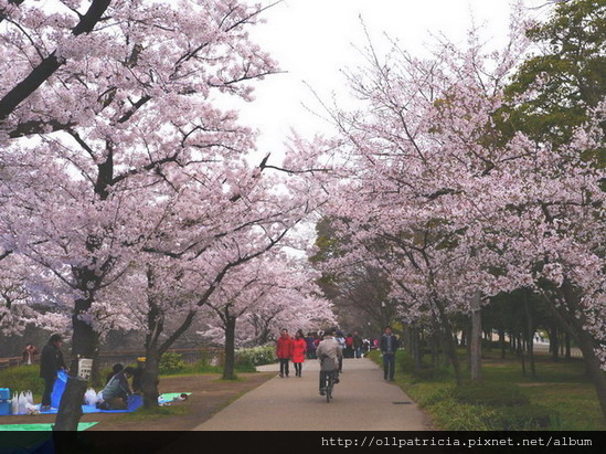 P1010023.jpg P1010023.jpg