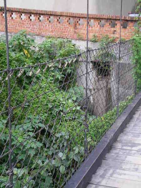 IMGP6473.JPG IMGP6473.JPG
