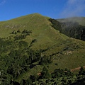 還是假山頭