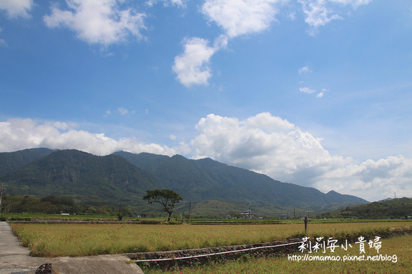 富里農會便當(富麗米)