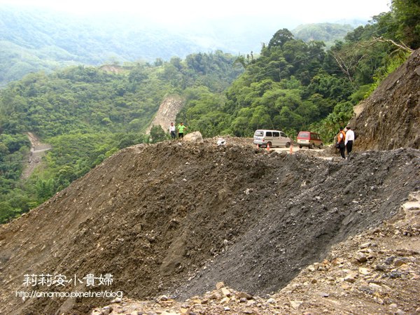 阿里山頂笨仔(光華社區)