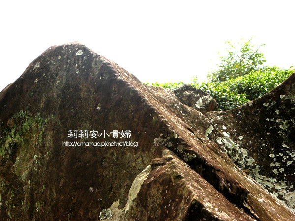 阿里山鄒族福山古道