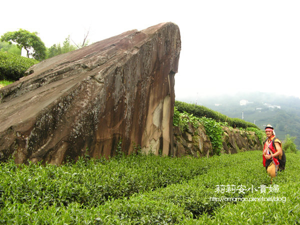 阿里山鄒族福山古道