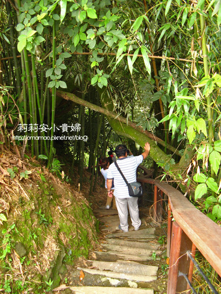 阿里山鄒族福山古道