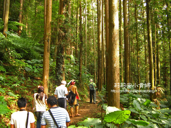 阿里山鄒族福山古道