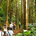 阿里山鄒族福山古道