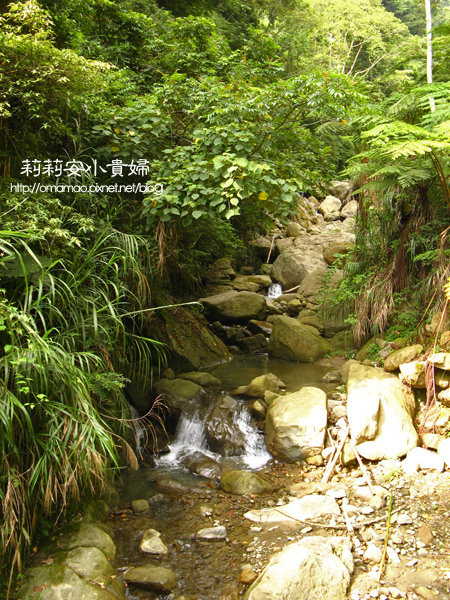 阿里山鄒族福山古道