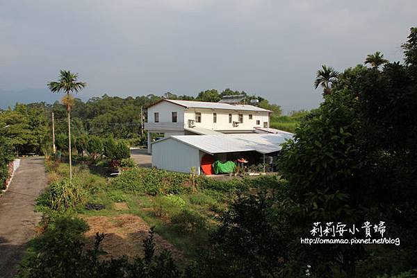 花蓮富里大自然體驗農家民宿