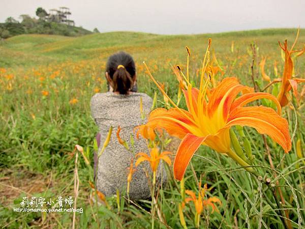 花連六十石山