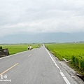 台東池上伯朗大道