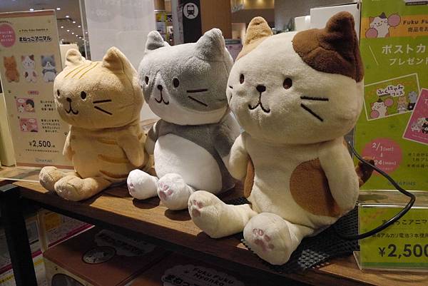 P1120053.JPG P1120053.JPG