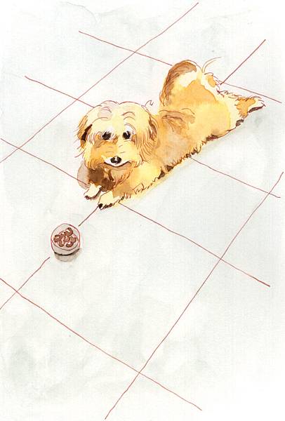 tudo_s.jpg tudo_s.jpg