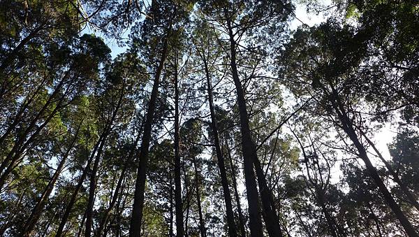 P1080598 P1080598