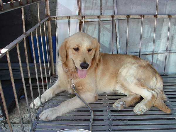 DSC00041