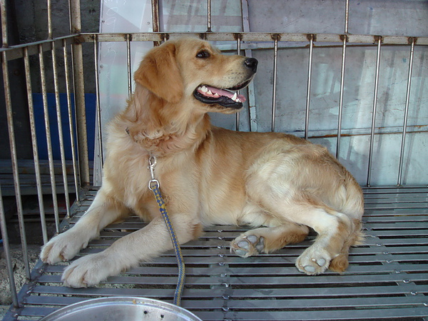 DSC00043