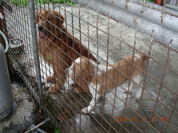 DSCN4196