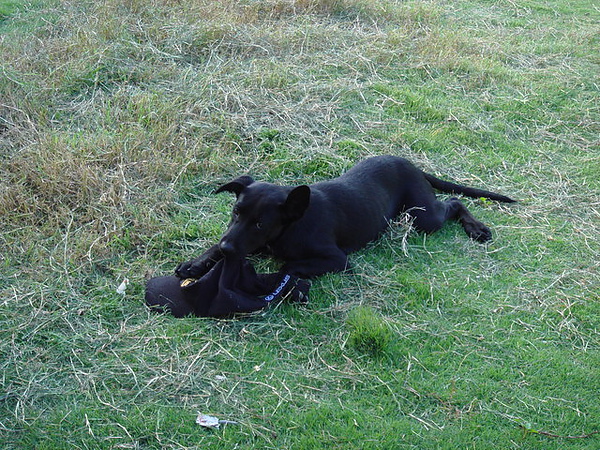 DSC00053
