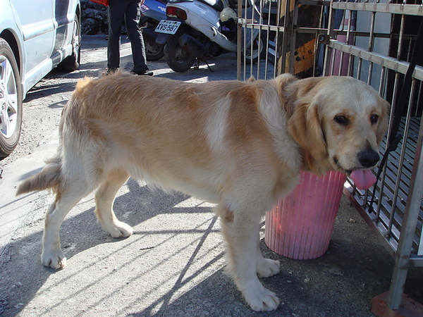 DSC00038