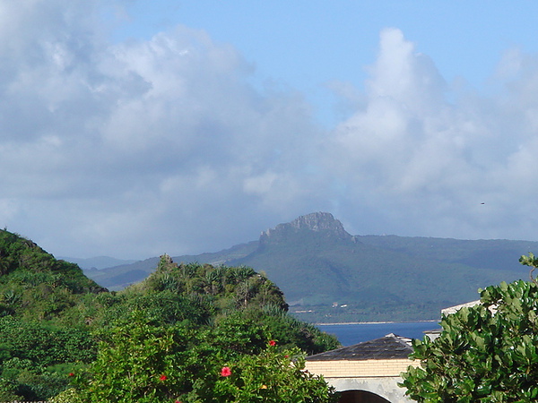 DSC00049