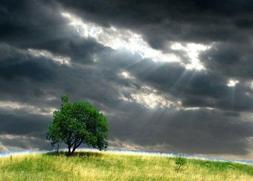 風雨中堅強.jpg 風雨中堅強.jpg