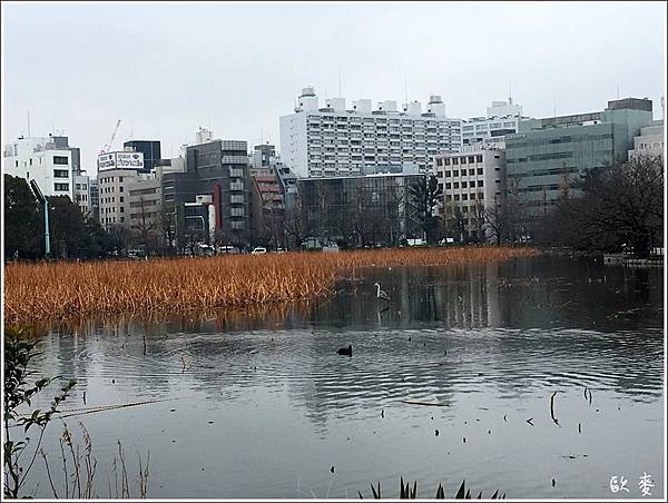 東京 Day4上野恩賜公園 阿美橫丁 御茶之水樂器街 銀座 有樂町橋底餐廳散策 歐麥趣吃喝玩樂 痞客邦 東京 Day4上野恩賜公園 阿美橫丁 御茶之水樂器街 銀座 有樂町橋底餐廳散策 歐麥趣吃喝玩樂 痞客邦