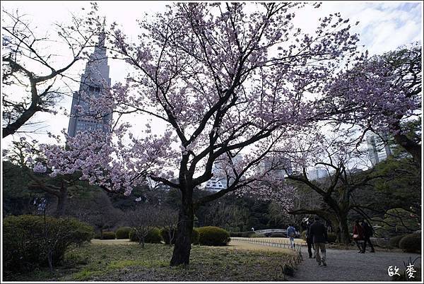 東京 Day5築地市場 築地本院寺 波除神社 賀須神社 新宿御苑 歌舞伎町 梧棲橋之晴空塔 歐麥趣吃喝玩樂 痞客邦 東京 Day5築地市場 築地本院寺 波除神社 賀須神社 新宿御苑 歌舞伎町 梧棲橋之晴空塔 歐麥趣吃喝玩樂 痞客邦