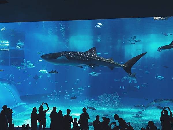 美麗海水族館