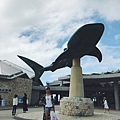 美麗海水族館